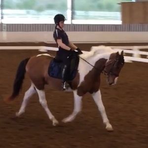 Meet your Posher, Marcella